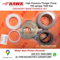COMPLETE SEAL PACKING Hawk Pump type FOG PN1.905-618.0 SJ PRESSUREPRO HAWK PUMPs O8I3 I95O O985
