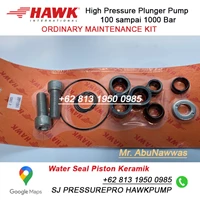 PLUNGER SEALS DIA. 16 mm Hawk Pump type NHD PN 1.905-668.0 SJ PRESSUREPRO HAWK PUMPs O8I3 I95O O985