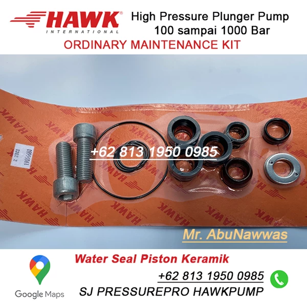 PLUNGER SEALS DIA. 16 mm Hawk Pump type NHD PN 1.905-668.0 SJ PRESSUREPRO HAWK PUMPs O8I3 I95O O985