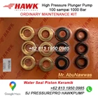 PLUNGER SEALS DIA. 18 mm Hawk Pump type NPM 250 Bar PN 1.099-754.0 SJ PRESSUREPRO HAWK PUMPs O8I3 I95O O985 3