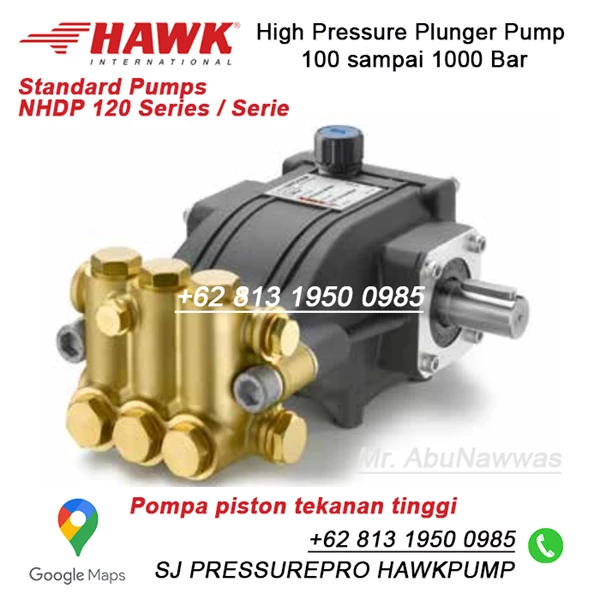  Pompa HPP High Pressure Pump 120 Bar 12 Mpa  1740 psi  12.0 lpm  3.2 US GPM HAWK NHDP1212R SJ Pressurepro Hawk Pump O8I3 I95O O985 