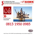 high pressure pum SJ PRESSUREPRO HAWK PUMPs O8I3 I95O O985 2