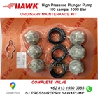 AISI 316 Unloader valve with by-pass. SJ PRESSUREPRO HAWK PUMPs O8I3 I95O O985 6