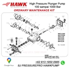 Pompa high pressure cleaning Waterjet 3000 psi SJ PRESSUREPRO HAWK PUMPs O8I3 I95O O985 3