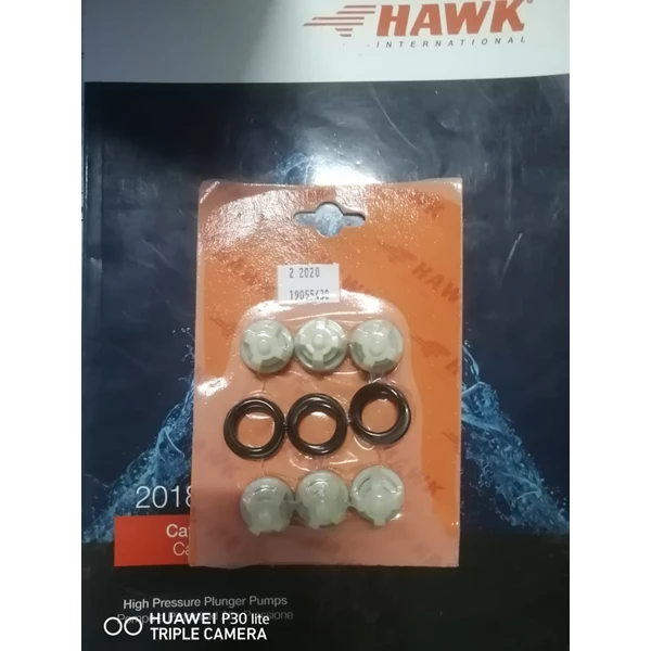 Valve hawk nmt 1520 SJ PRESSUREPRO HAWK PUMPs O8I3 I95O O985