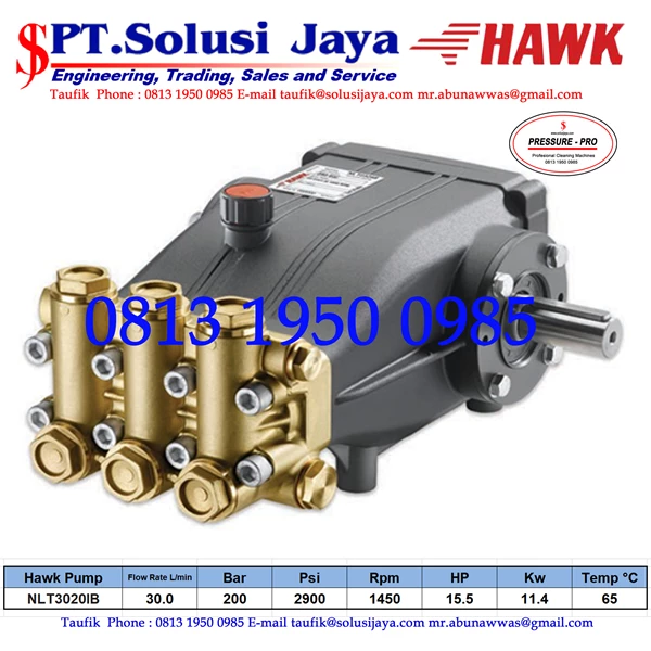 Pompa Hydrotest Hawk NLT3020. 300bar.30Lpm. Engine Yanmar SJ PRESSUREPRO HAWK PUMPs O8I3 I95O O985