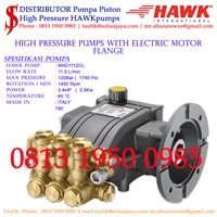 Pompa Hydotest Hawk Pump NHD1112CL Flow rate 11.0Lpm 120Bar 1740Psi 1450Rpm 3.4HP 2.5Kw SJ PRESSUREPRO HAWK PUMPs O8I3 I95O O985