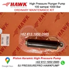 Piston keramik suku cadang pompa PX Hawk Pump #saleservise_081319500985 8
