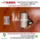 Piston keramik suku cadang pompa PX Hawk Pump SJ PRESSUREPRO HAWK PUMPs O8I3 I95O O985 2
