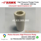Piston keramik suku cadang pompa NLT Hawk Pump SJ PRESSUREPRO HAWK PUMPs O8I3 I95O O985 2